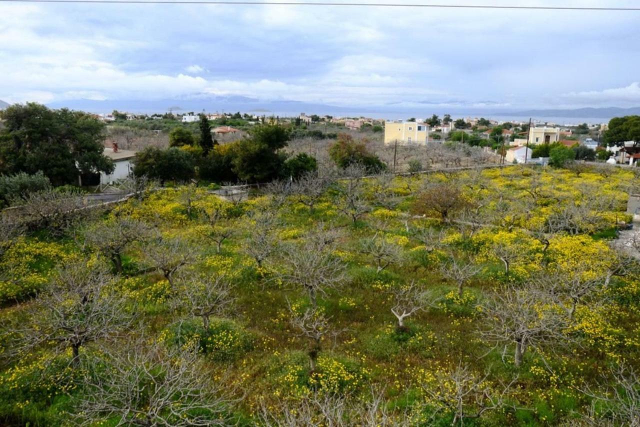 Villa Konstantinos Aegina Exteriör bild